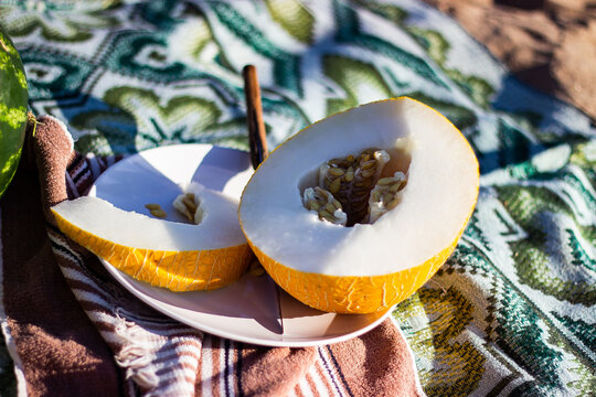 cutted melon 