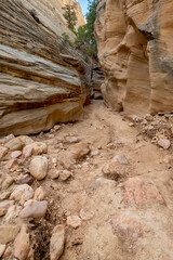 Lick Wash, a Canyon in the White Cliffs of  the Grand Staircase, Utah