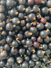 photo of fresh delicious garden natural healthy organic blackcurrant close-up. High quality photo