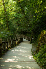 Taiwan, Lala Mountain, national forest, protected area, green, quiet, forest trail