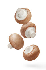 Flying delicious mushrooms, isolated on white background