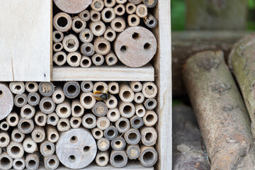 An insect hotel for bees, wasps and other insects made of wood.