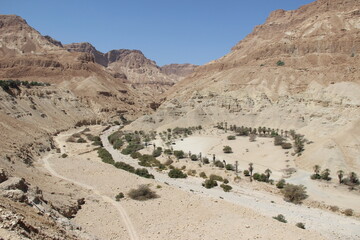 Fototapeta na wymiar view of the desert - Ein Gedei , Dead sea