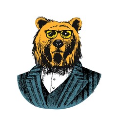 Portrait of Bear in sunglasses. . Hand-drawn illustration in vintage style.