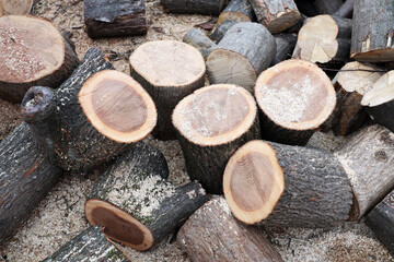 Cross section of the timber, firewood stack for the background.
