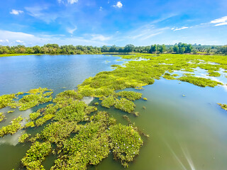 Nong Yai Pond and Wooden Bridge in Chumphon, Thailand