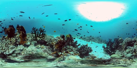 Papier Peint photo Turquoise Beautiful underwater landscape with tropical fish and corals. Philippines. 360 panorama VR