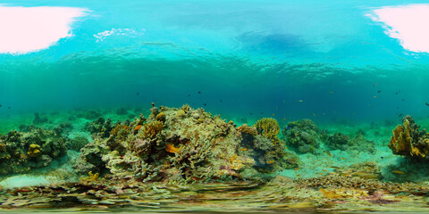 Fototapeta na wymiar Reef Coral Scene. Tropical underwater sea fish. Hard and soft corals, underwater landscape. Philippines. Virtual Reality 360.
