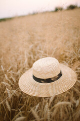 A straw hat with a black ribbon lies on spikelets of wheat in a field.