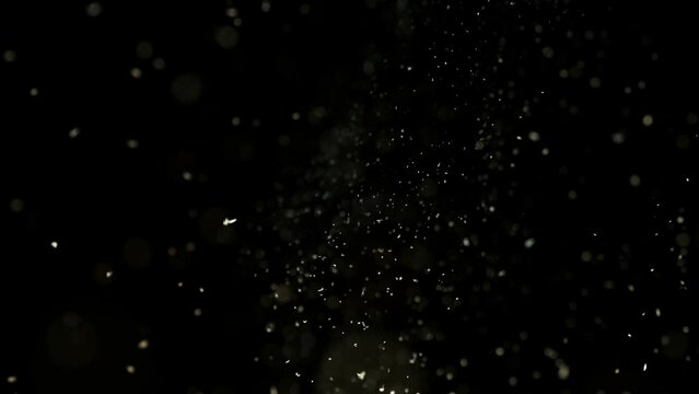 Super slow motion of sawdust particles on black background. Filmed on high speed cinema camera, 1000 fps.