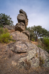 Beautiful landscape of trees growing between the huge granite rocks.