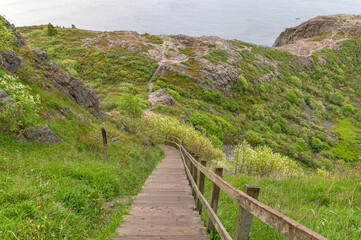 A long staircase on the North Head Trail at Signal Hill