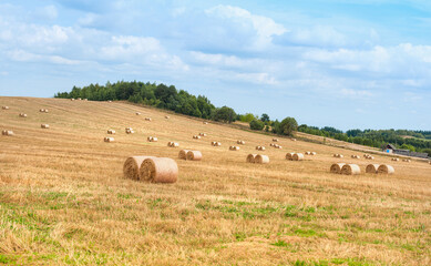 hay bales in the field in Ukraine before the war