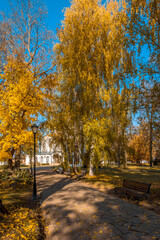 Naklejka premium Colorful foliage in the autumn park