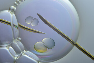 Ovum with a needle for artificial insemination or in vitro fertilization. The concept of genetic engineering and artificial insemination or infertility treatment