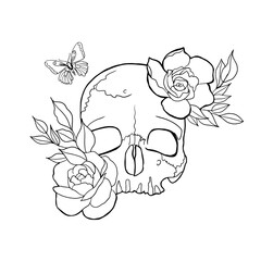 Human skull with roses drawing in tattoo style. Isolated on white. A skull with flowers. Can be used as a sketch of a tattoo. Line art. Alchemy, religion, spirituality, occultism
