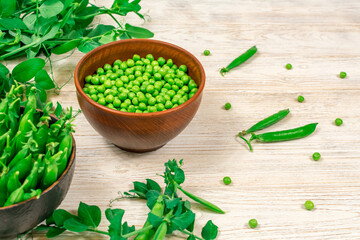 Two bowls of fresh young green peas in stitches and peeled against a background of leaf shoots, sprigs of young green peas on a white wooden table. Close-up. Selective focus. Defocus.