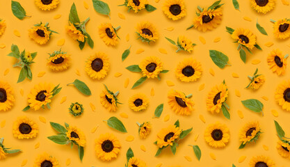 Seamless floral pattern of ornamental sunflower flowers, leaves buds and petals on yellow background top view flat lay