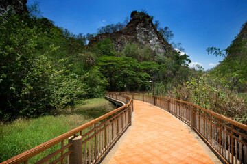 Fototapeta na wymiar Curve of walkway in natural park cuts through asia tropical forests.