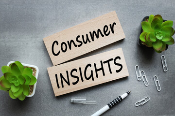 Consumer Insights text on wooden blocks on a gray background near potted plants