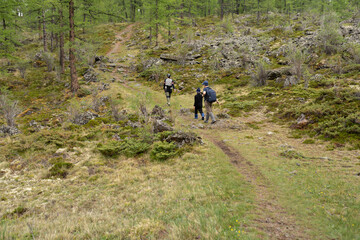 Family walking in the mountains 