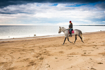 dressing jeans, jacket and autumn hat female horseback rider horses a dappled palfrey along mere