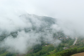 morning fog clouds on the mountain