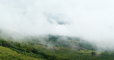 morning fog clouds on the mountain