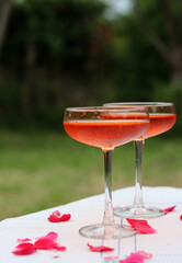 Two glasses of orange cocktail on a table. Romantic picnic in the garden. Summer drinks and beverages. 