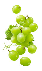 Flying bunch of green grapes isolated on white background. Fresh berries falling