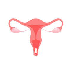 Female reproductive system. Menstrual tampon. Protection for woman in critical days. Cervix, ovary, fallopian tube icon. Vector illustration.