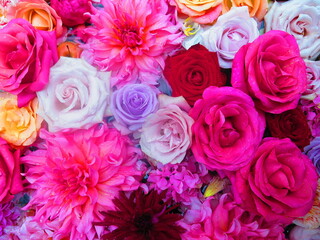 Floral background. Multi-coloured fresh pastel color flowers in the water, top view from above. Natural flat lay. Variety of flowers.