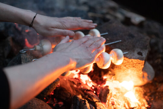 hands, mushrooms and campfire