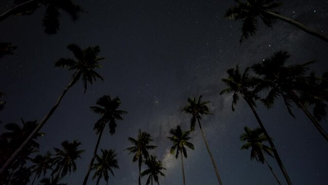 Gorgeous Milky Way time lapse above palm trees silhouetted against night sky. Isle of Pines.