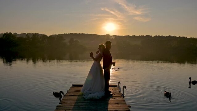 Newlyweds together feed swans on the lake at sunset