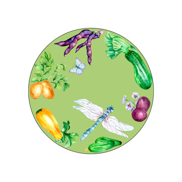Variety of vegetables and dragonfly watercolor illustration isolated
