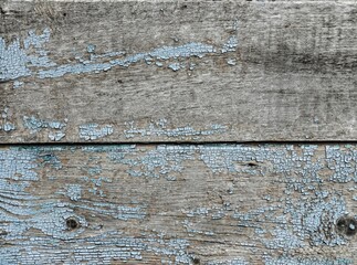 Wooden texture of old boards covered with peeling blue paint