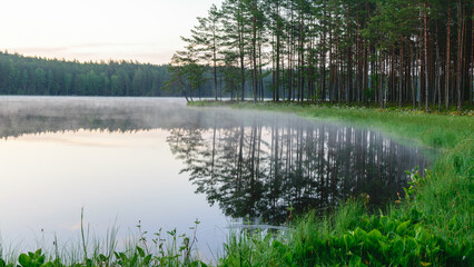 happy summer morning landscape by the lake, tree reflections in calm water, light fog on the water surface