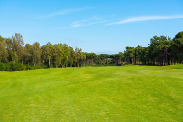 Plakat Panoramic view of beautiful golf course with pines on sunny day. Golf field with fairway, lake and pine-trees