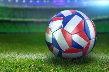 France Soccer Ball on Stadium Green Grasses at Night