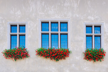 Fototapeta na wymiar windows and roses in buildings