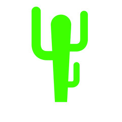 Cactus vector outline. Color icon.
