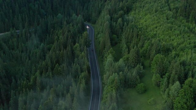 Cinematic top view of road going in dark forest
