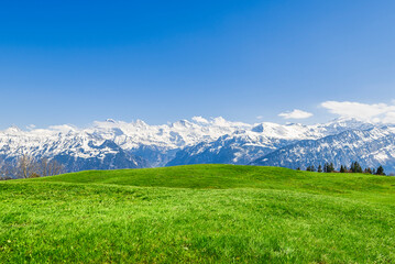 Fototapeta na wymiar 눈덮힌 산과 푸른 언덕의 스위스 풍경