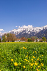 Fototapeta premium Spring Landscape in Interlaken, Switzerland