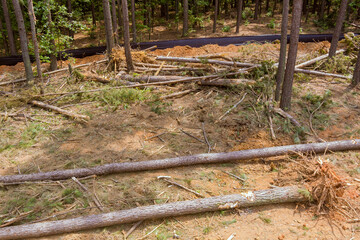 Preparation of land for construction new housing complex by deforestation of forest and digging up tree stumps and root