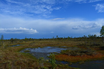 beautiful views outside of riga