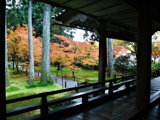 京都　大原三千院の紅葉