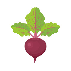 Beetroot vector flat icon. Healthy food. Illustration of cartoon vegetable isolated on white.