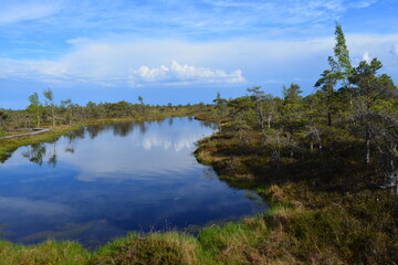 beautiful views outside of riga